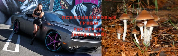 соль курить ск Иннополис