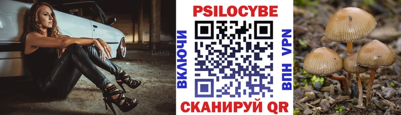Купить где  Бабушкин  Псилоцибиновые грибы мухоморы 