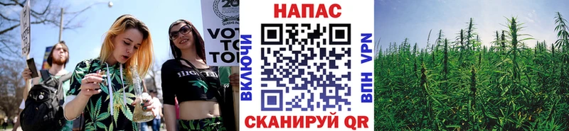 Бошки Шишки планчик  Купить где  Бабушкин 